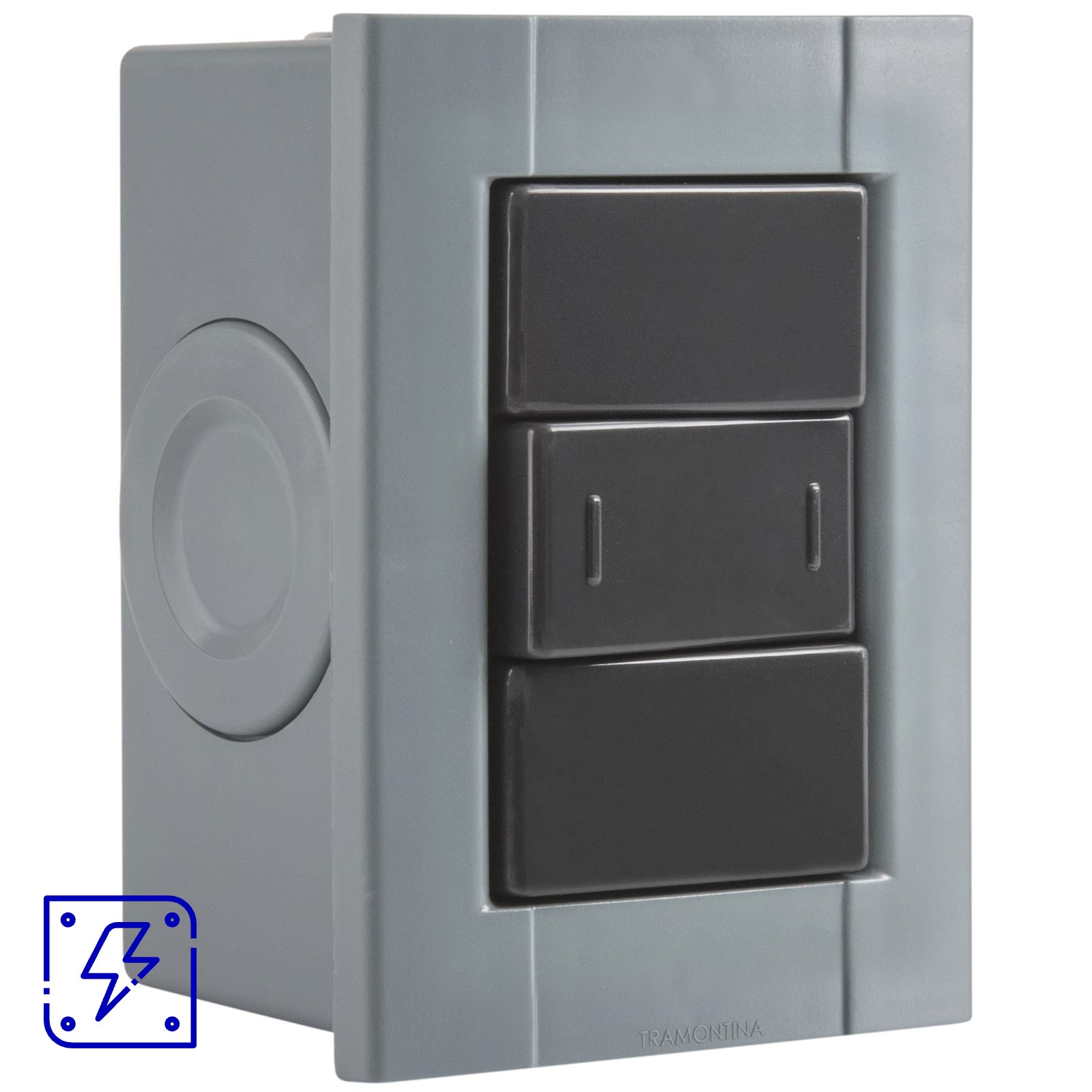 Conjunto de 1 Interruptor Paralelo Tramontina Plastibox cor cinza 10 A 250 V 12 UNIDADES EMB.MINIMA